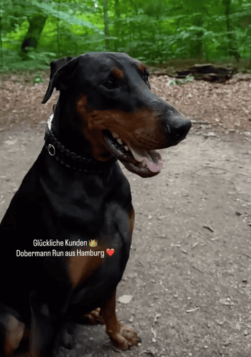 Glückliche Kunden Dobermenn Run aus Hamburg