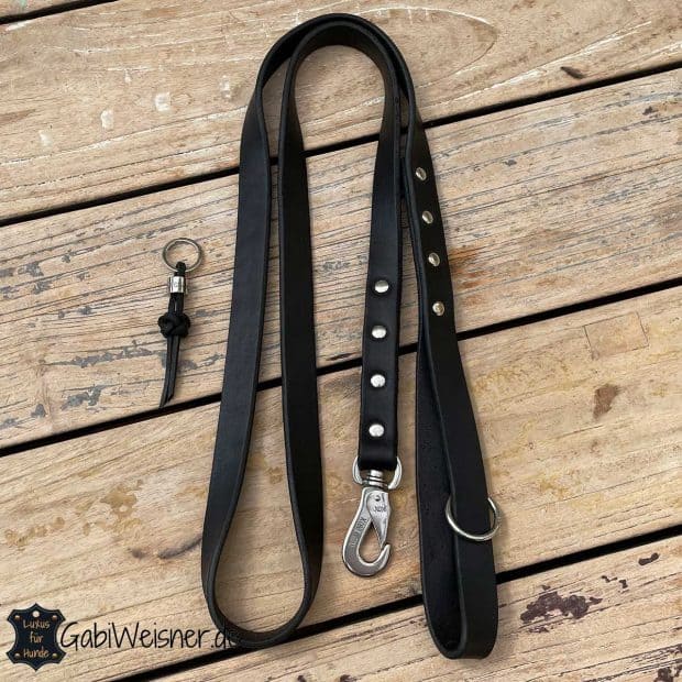 Buckle-Down Hundeleine Mit Flash-Logo – 122 Cm Lang, 1,3 Cm Breit, Aus Robustem Polyester