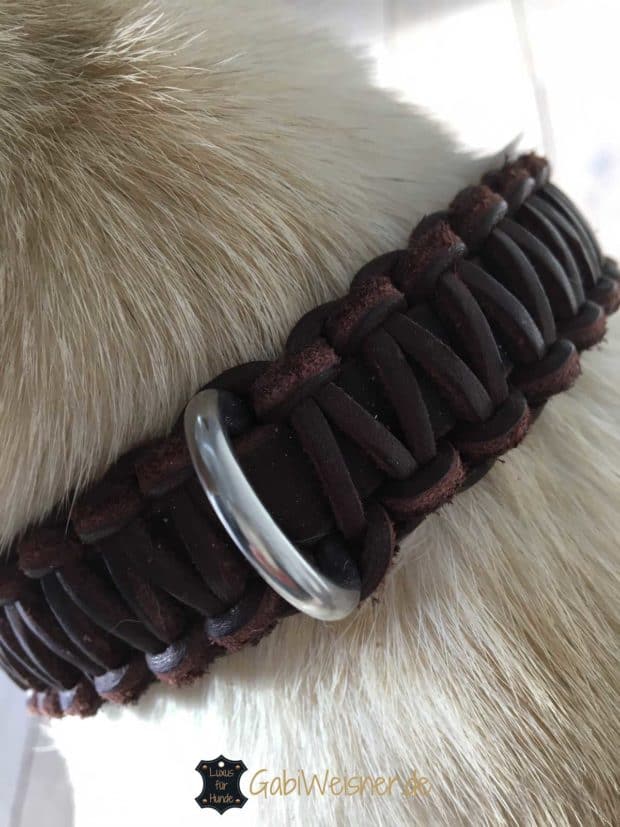LOVPE Lederhalsband Mit D-Ring – Weich Gepolstert Für Kleine Hunde & Katzen, Goldfarben