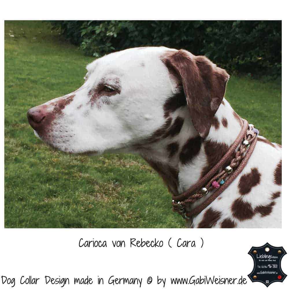 Serijoars Hundehalsband Mit Strass & Diamanten – Weiches Veloursleder, Größe S (27-33 Cm), Rosa | Glitzerndes Accessoire Für Kleine Hunde