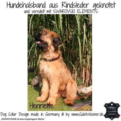 BUB's Hundehalsband Aus Rindsleder – Pflanzlich Gegerbt, Weich & Robust, Größe XL (47–57 Cm), 40 Mm Breit