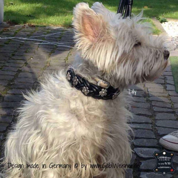 Shires Digby & Fox Hundehalsband Aus Geflochtenem Leder, Größe M, Hellbraun – Mit Messing-D-Ring Und Anhänger