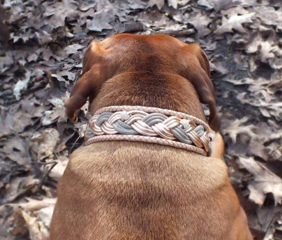 Hundehalsband Rosegold