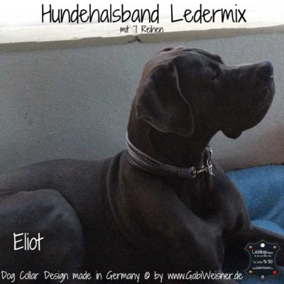 Hundehalsband Aus Leder – Gepolstert, Himbeerrosa, Passend Für Halsumfang 37–44,5 Cm