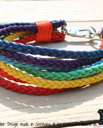 Hundehalsband Regenbogen