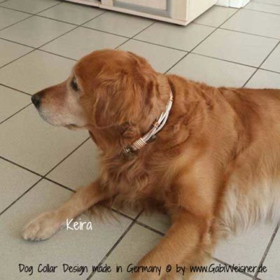 Piuness Hundehalsband & Leine Aus Echtem Leder – Verstellbar, Mit Robuster Schnalle, Größe S