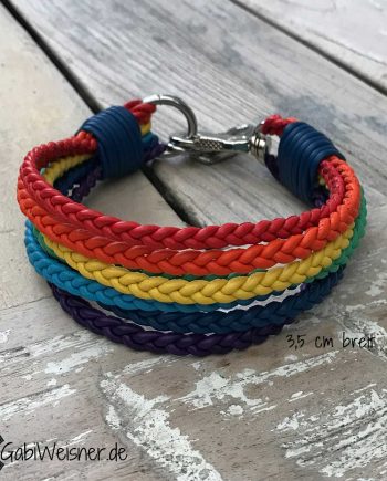Hundehalsband Regenbogen, 7 Farben, 35 mm breit, kleine Hunde