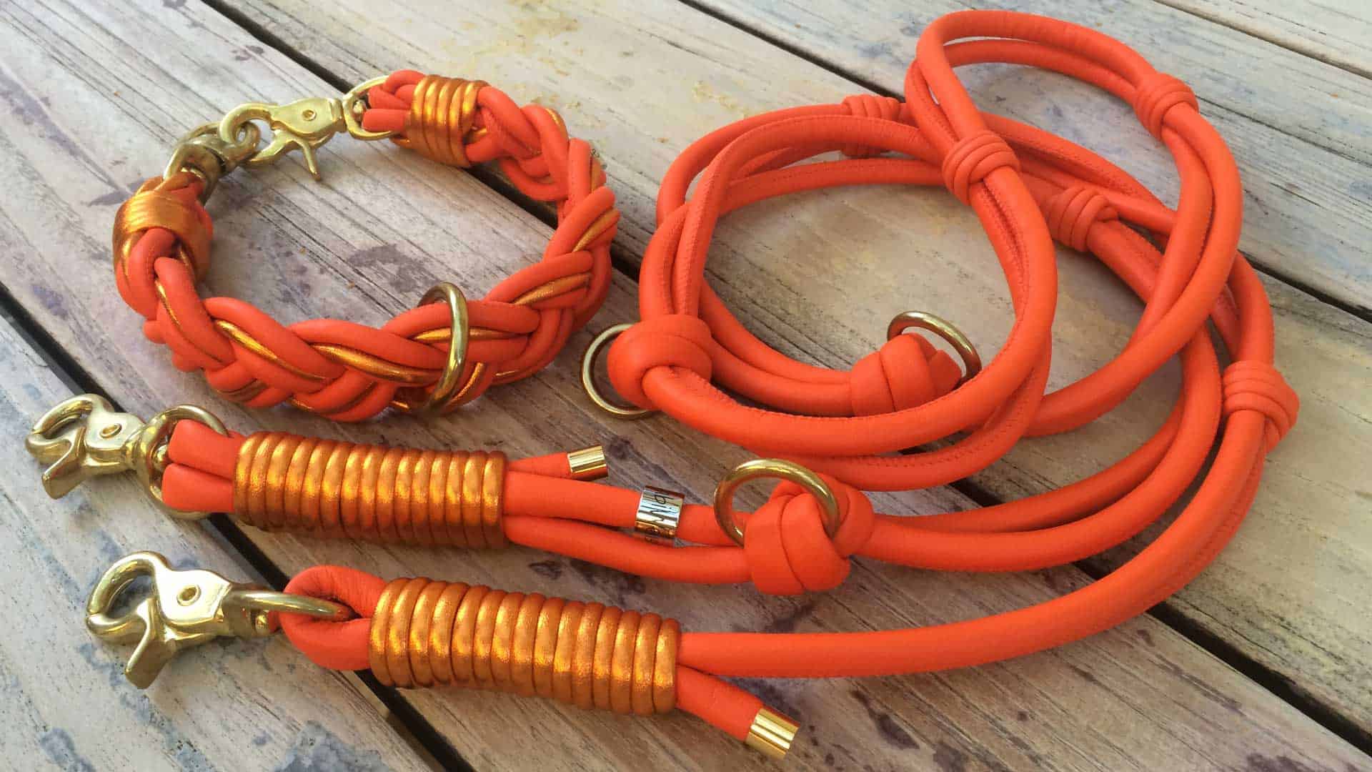 Halsband und Leine für Hunde