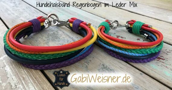 Hundehalsband Regenbogen Leder Mix 5 cm breit