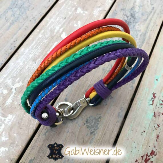 Hundehalsband Regenbogen Leder Mix 5,5 cm breit