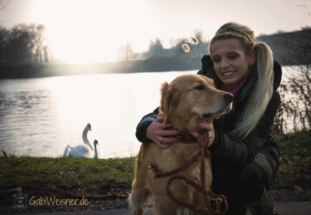 Luxus Hundeleine Leder in DUNKELROT