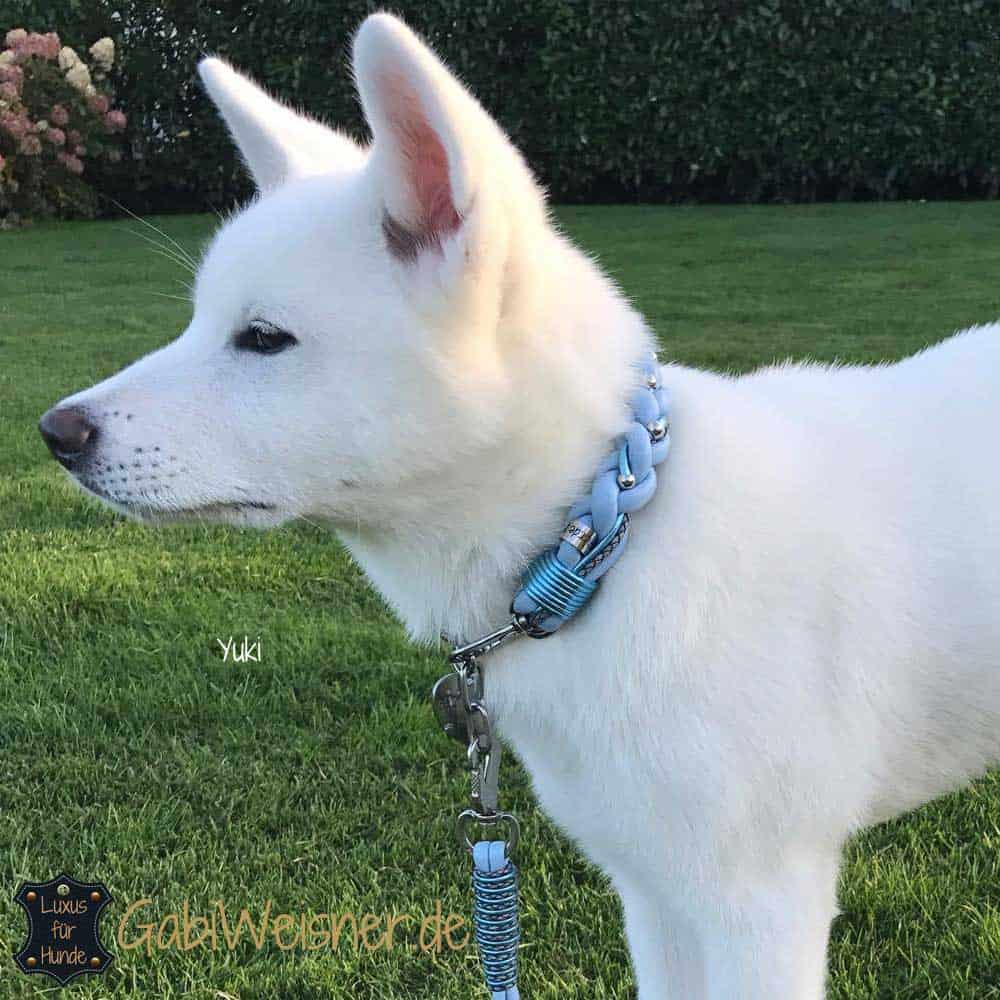 Hundehalsband Leder rund geflochten Hundehalsband Leder rund geflochten