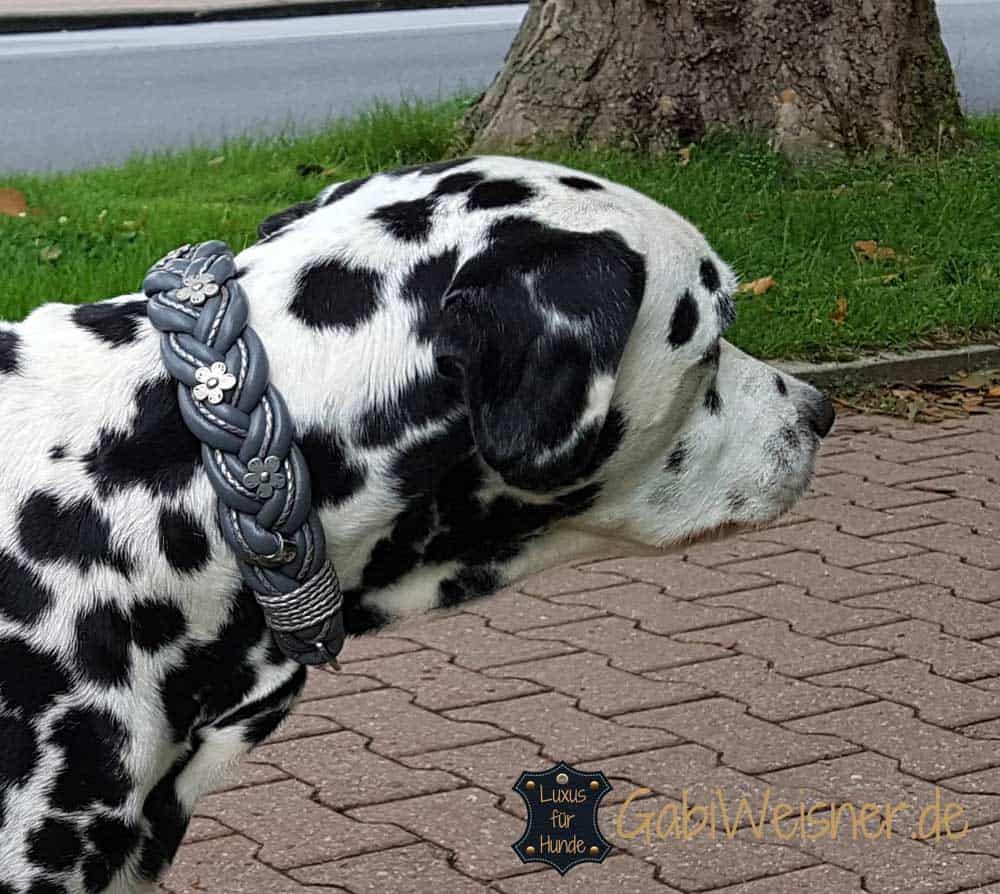 Hundehalsband Nappaleder breit Hundehalsband Nappaleder breit geflochten