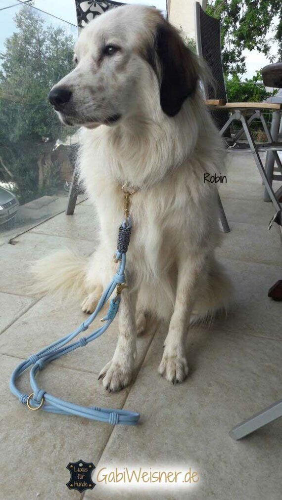 Halsband und Leine für Hunde mit langen Haaren