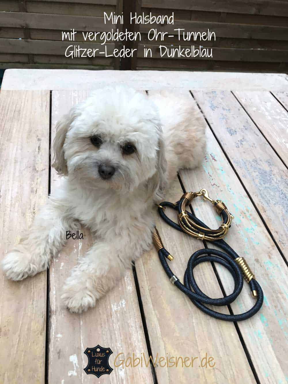 Luxus Hundehalsband exklusiv Luxus Hundehalsband exklusiv mit Ohr-Tunnel Leder Blau-Gold