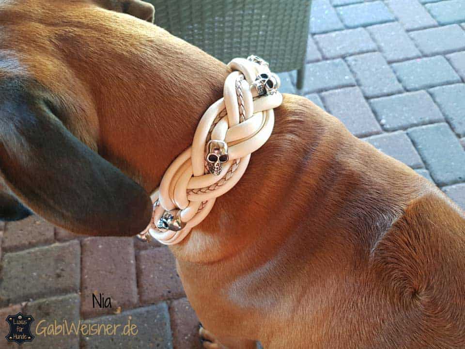 Hundehalsband 5 cm breit Rhodesian Ridgeback Girl Nia, trägt Hundehalsband breit geflochten