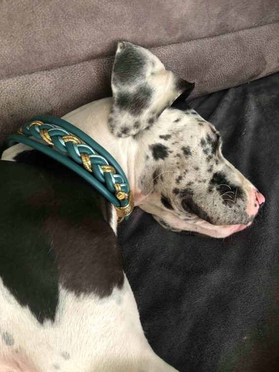 Hundehalsband 5 cm breit geflochten für große Hunde
