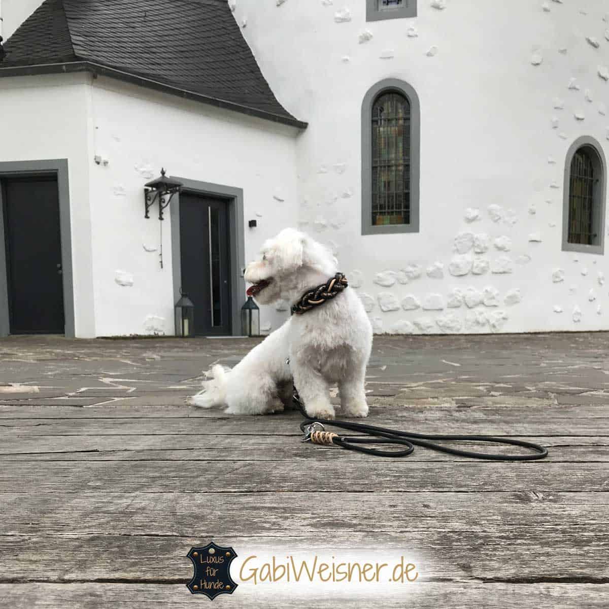 Hundehalsband Leopard 3 cm breit und leicht für kleine Hunde.