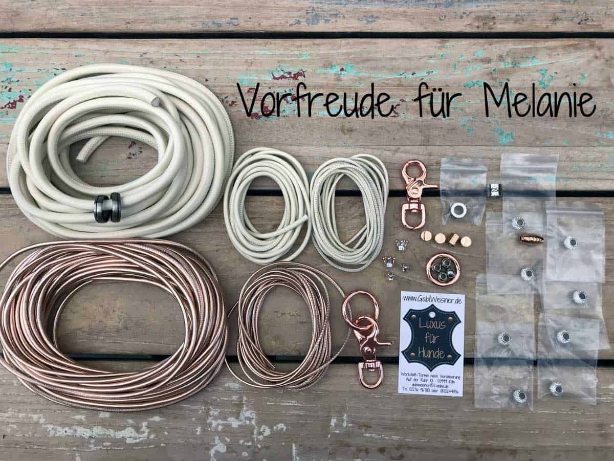 Hundehalsband Rhodesian Ridgeback Hochzeit Kyra