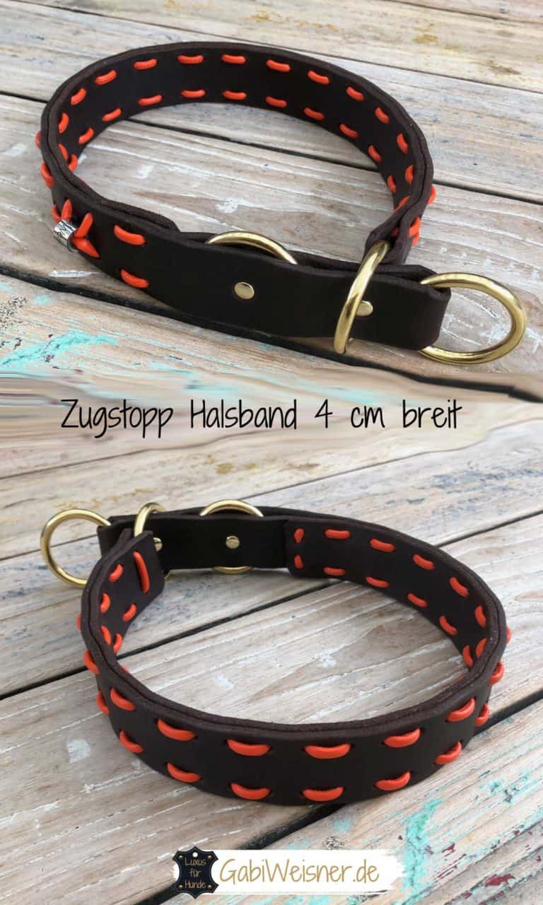 Zugstopp Halsband für große starke Hunde Hundehalsband Leder • Luxus