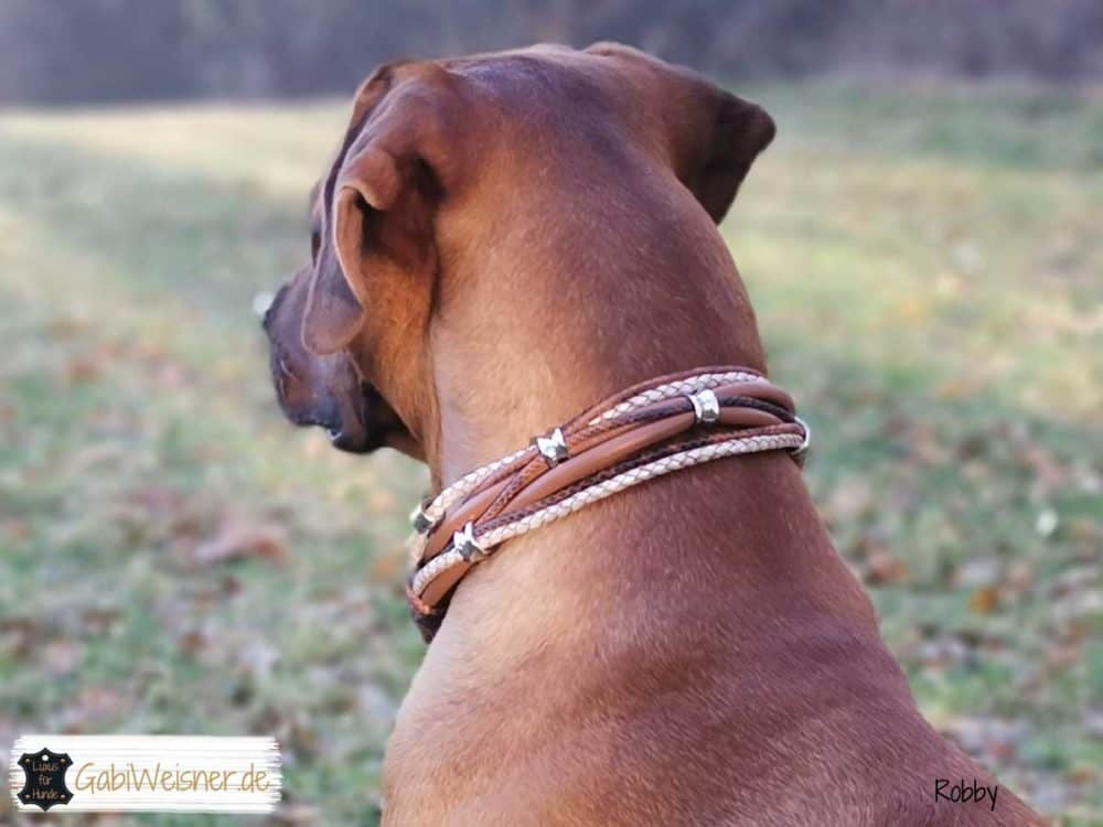 Hundehalsband Leder Mix in Braun Perlmutt FÜR große Hunde
