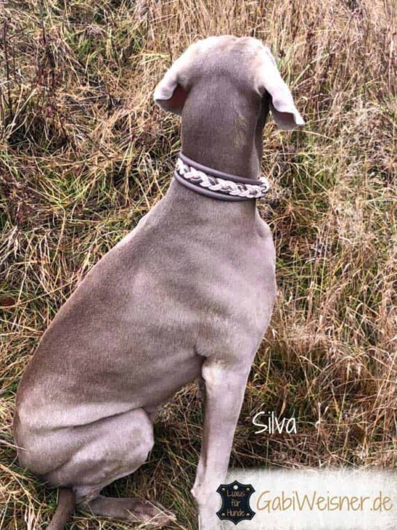 Hundehalsband Leder 4 cm breit Taupe Silva