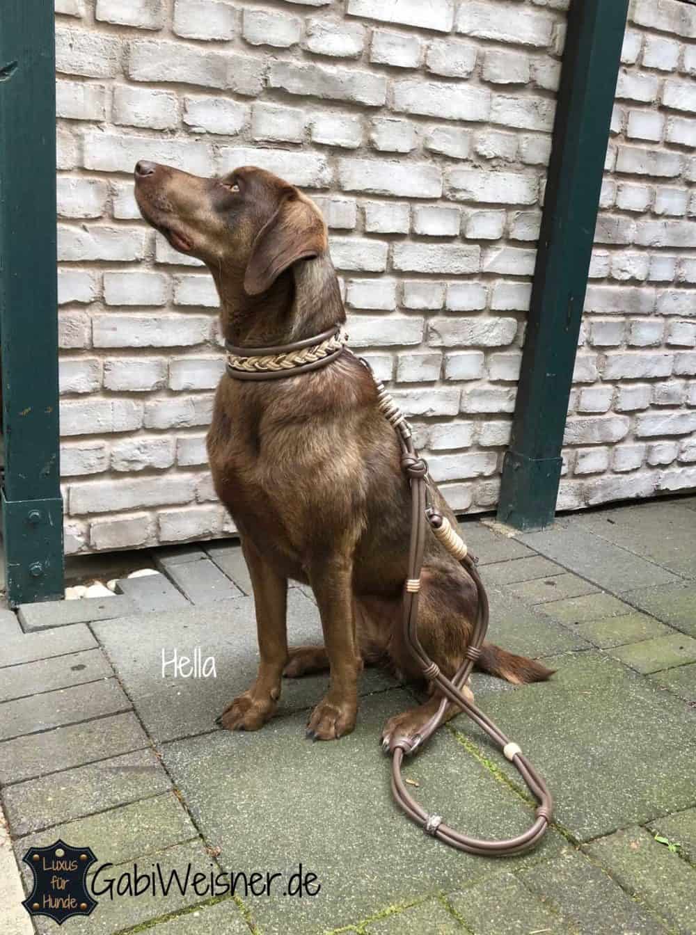 mein halsband de Hundehalsband aus BioThane®| Minze-Flash – SammyLunaDesigns