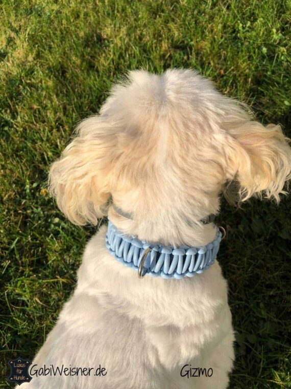 Halsband mit Klickverschluss für kleine Hunde