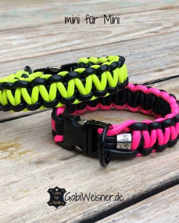 Hundehalsband mit Klickverschluss für kleine Hunde, Leder 2 cm breit.