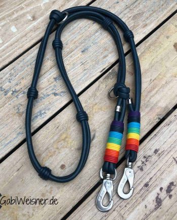 Hundeleine aus Leder in Regenbogenfarben.