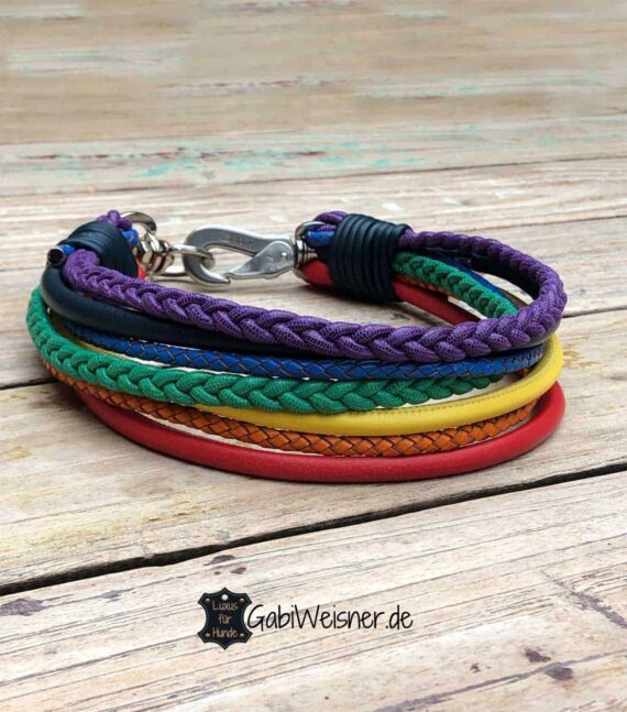 Regenbogen Hundehalsband