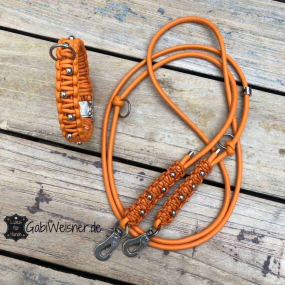 Halsband und Leine für kleine Hunde