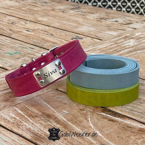 Einfaches Hundehalsband mit Namensschild aus Edelstahl, Leder in allen Farben und 3 cm breit.