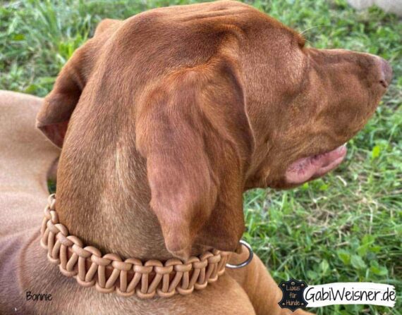 Hundehalsband verstellbar Leder 3 cm breit, Nappaleder in Mandel und Mahagoni.