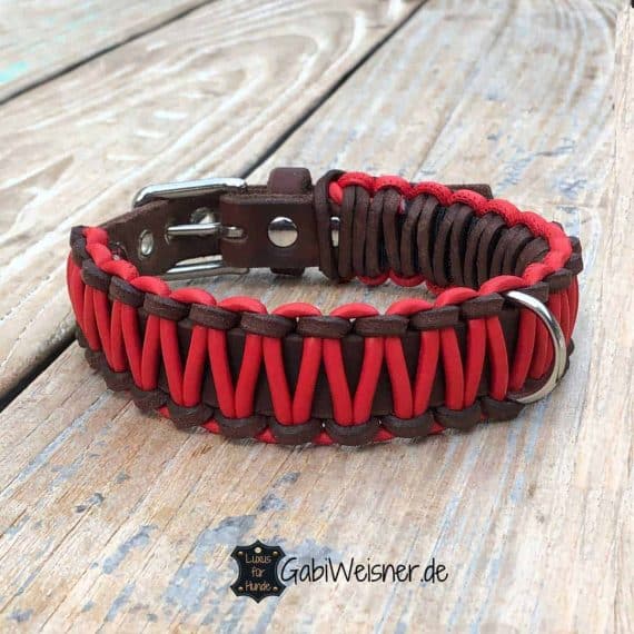 Hundehalsband aus Leder 3 cm breit, für mittelgroße Hunde