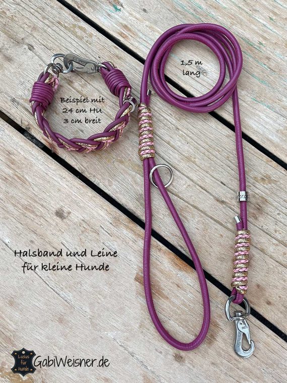 Boho Halsband und Leine für kleine Hunde
