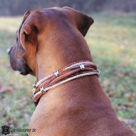 Hundehalsband Leder Mix in Braun Perlmutt. Rhodesian Ridgeback Robby. Gabi Weisner