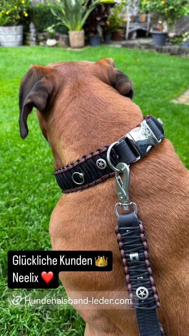 Glückliche Kunden Neelix.