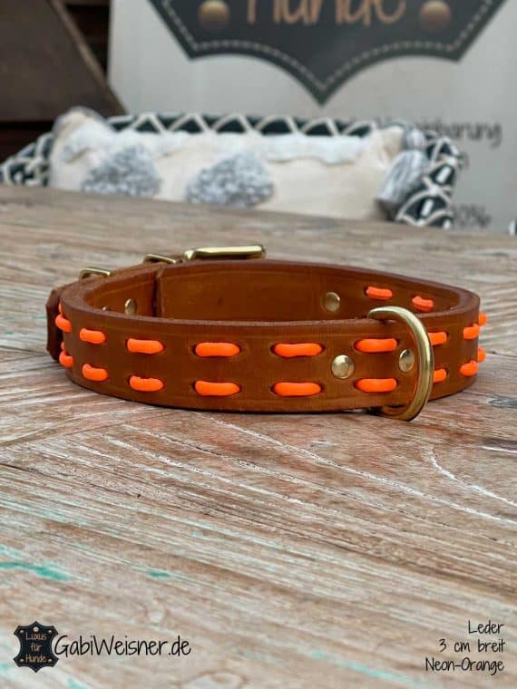Hundehalsband aus Leder 3 cm Cognac Neon-Orange Messing Ösen.
