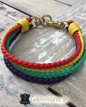 Hundehalsband mit Regenbogen