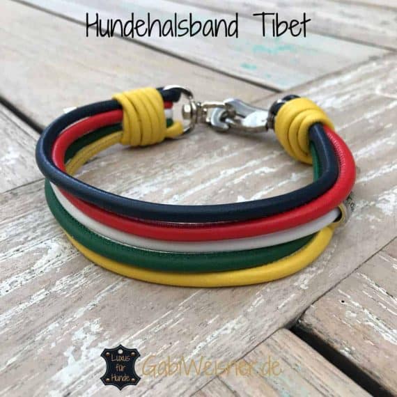 Hundehalsband Tibet-Farben, Lederbänder in Blau Rot Weiß Grün Gelb,