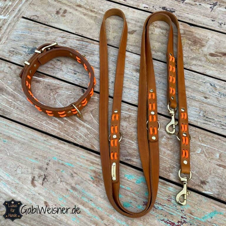 Hundehalsband Mit Leine – Leder Mit Strasssteinen Und Schleife, Für Kleine Hunde, Verstellbar, In Größen XXS Bis L