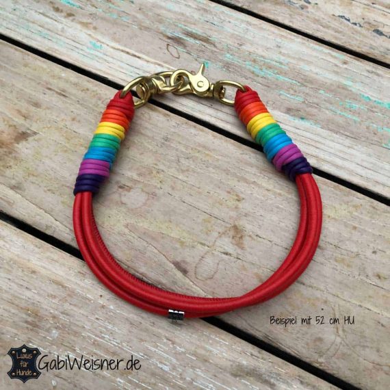 Regenbogen Hundehalsband. Für große Hunde. Lederfarbe nach Wunsch