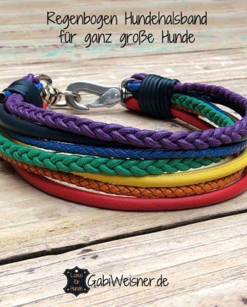 Regenbogen Hundehalsband, Leder Mix für große Hunde, 6 cm breit
