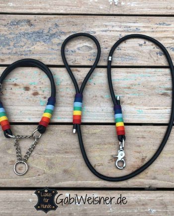 Regenbogen Hundehalsband und Leine im SET