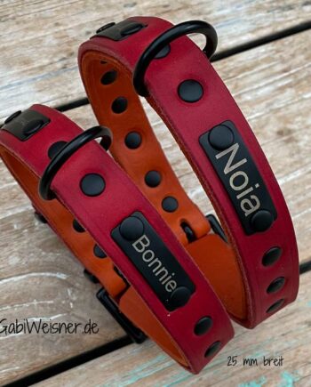 Hundehalsband mit Namen und Telefonnummer personalisiert. Dickes weiches Leder in Rot und Orange, 25 mm breit und verstellbar in 5 Ösen.