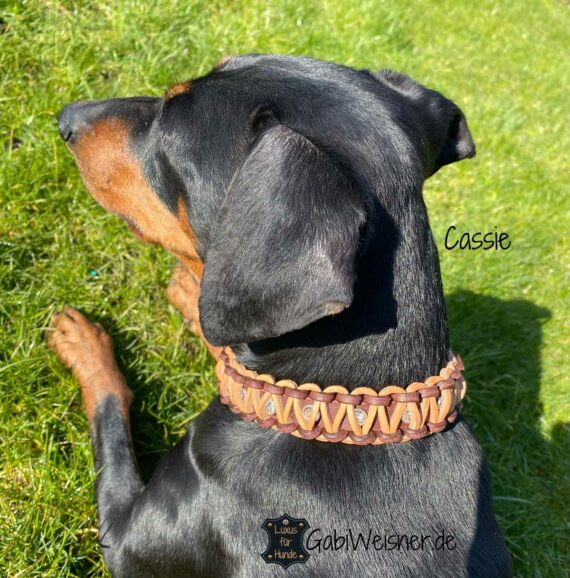 Hundehalsband aus Leder, 3 cm breit, dekoriert mit Swarovski Elements und bestückt mit kleinem ALU-MAX® Klickverschluss. Pinscher Cassie.