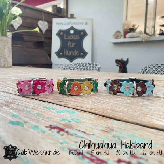 Chihuahua Halsband mit Blumen aus Leder, Farbe nach Wunsch