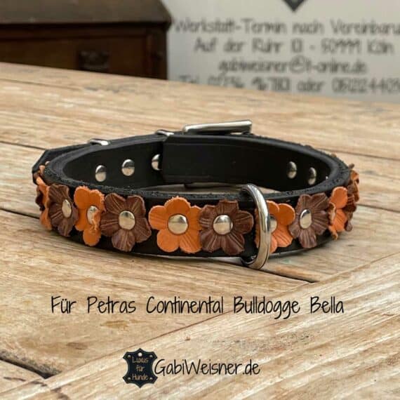 Für Petras Continental Bulldogge Bella