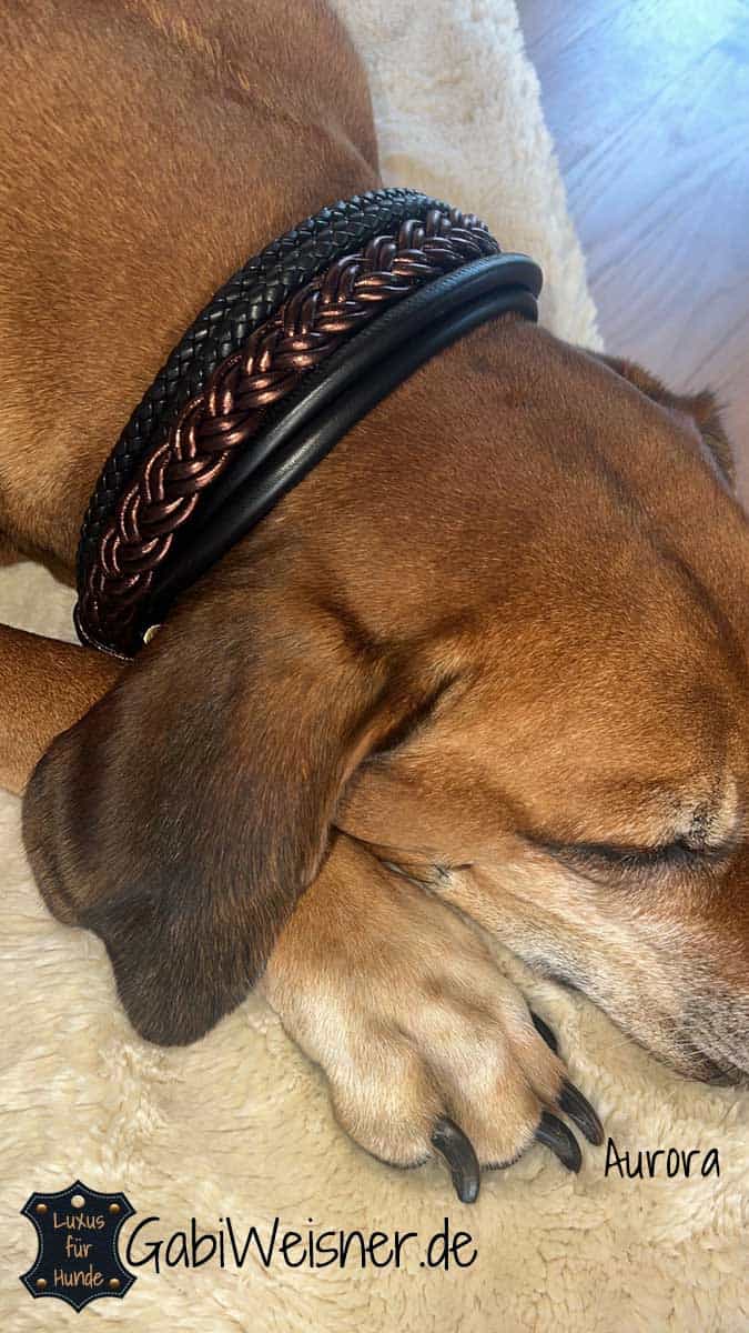 Luxus Hundehalsband 5 cm breit, Leder Mix in Braun
